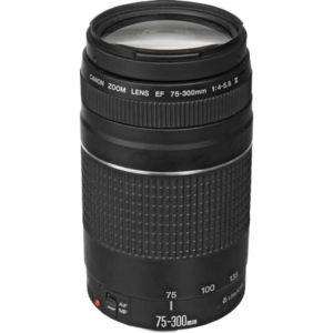Canon EF 75-300mm f/4-5.6 III [Special Order]